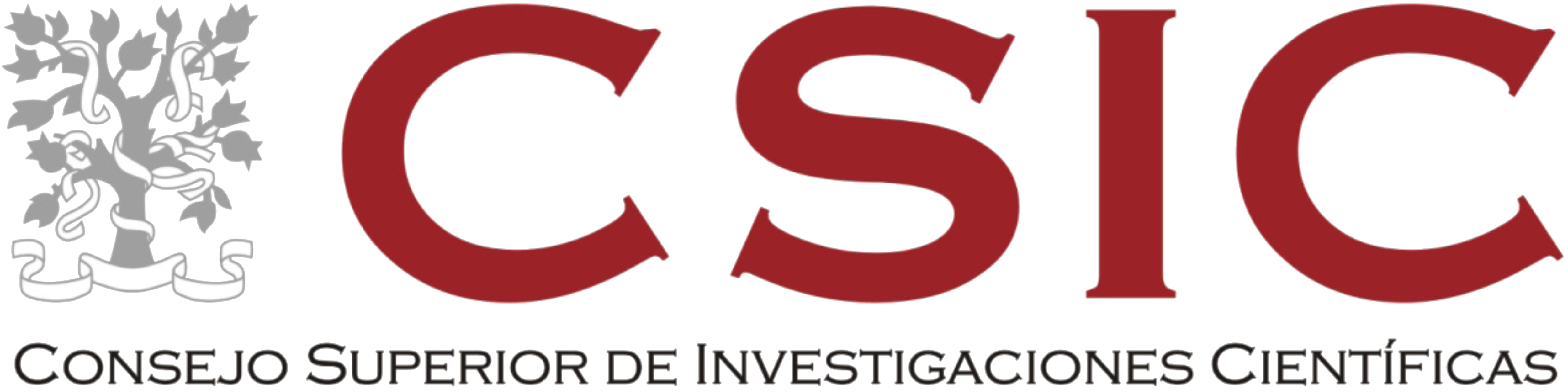 CSIC logo